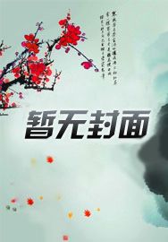 从今天开始做女婿